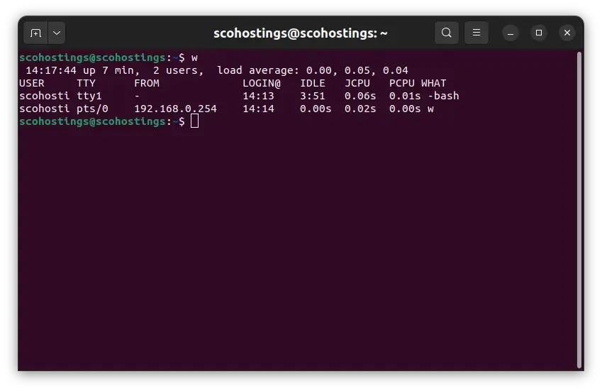 w Linux command