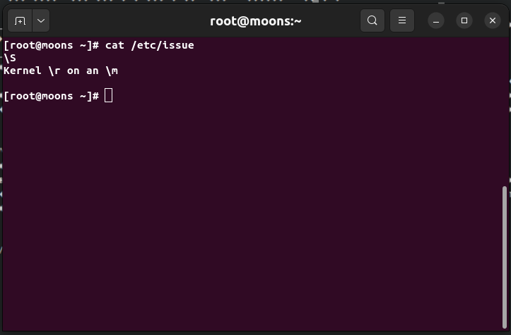 Example command "cat /etc/issue" 