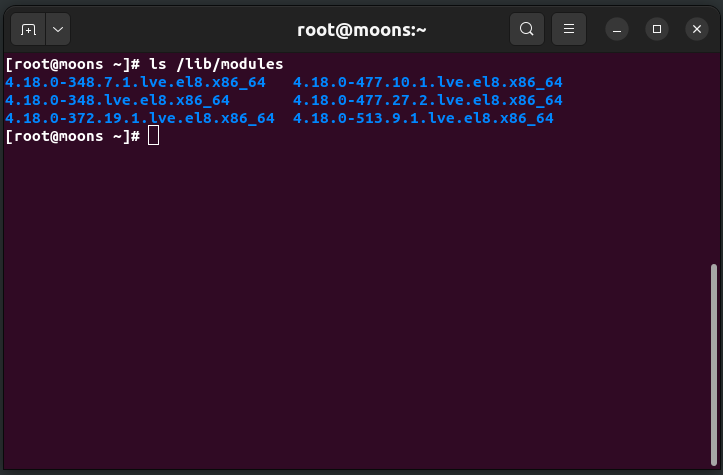 Execution of "ls /lib/modules" command and the output displayed