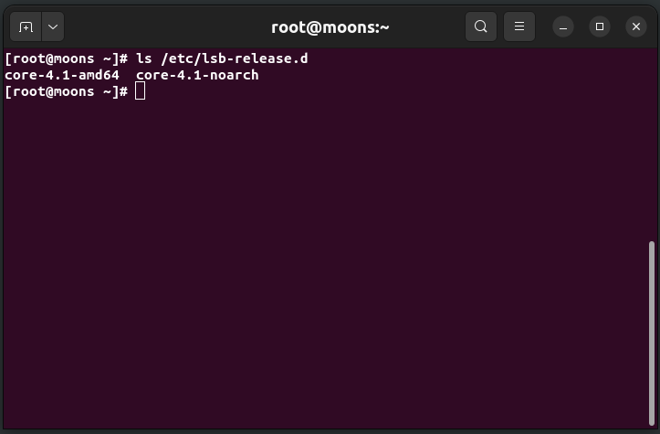 Example of the command "ls /etc/lsb-release.d" being executed.