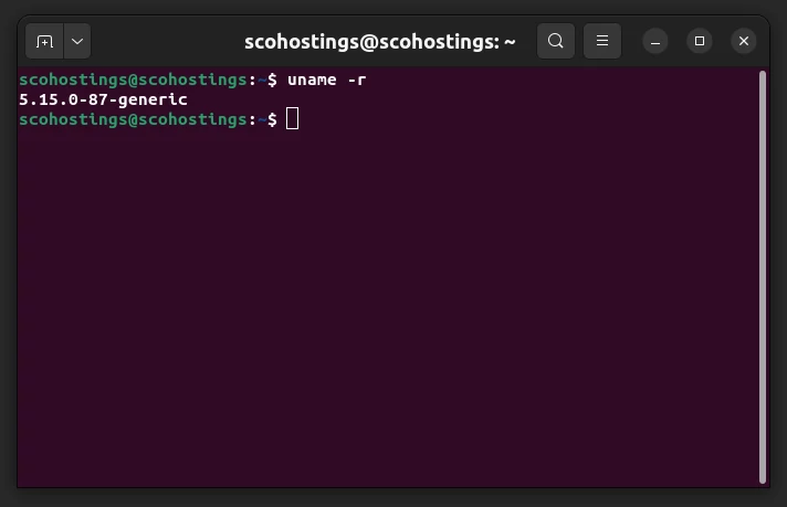 Checking Kernel Version