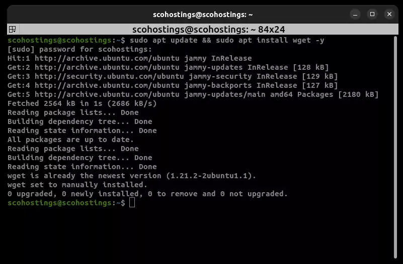 Install wget linux