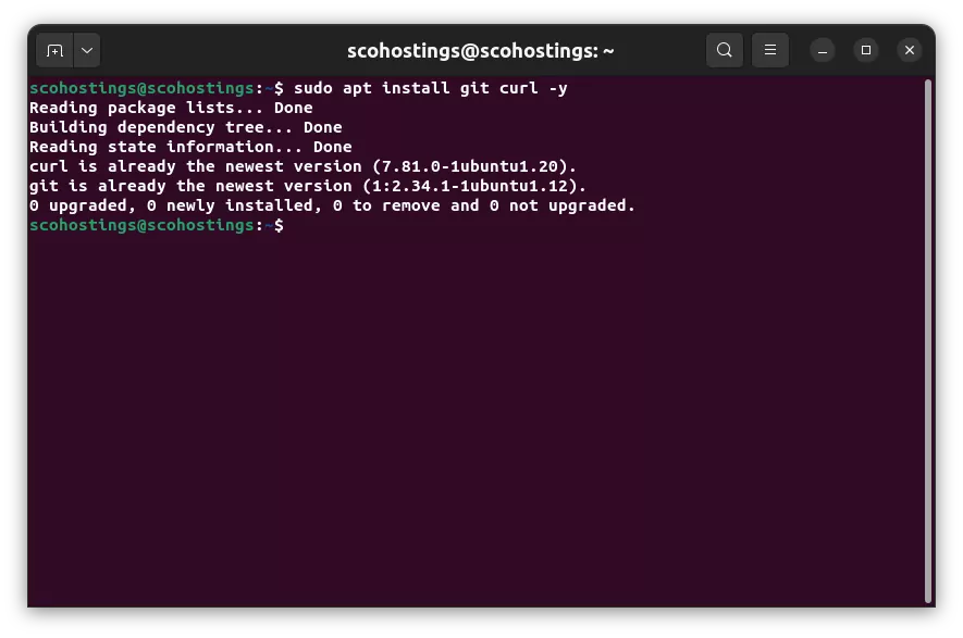 Installing git and curl debian