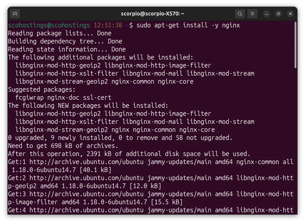 sudo apt-get install -y nginx