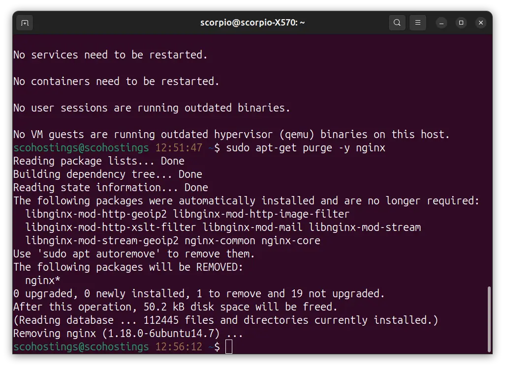 sudo apt-get purge -y nginx