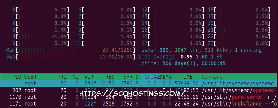 Linux htop interface